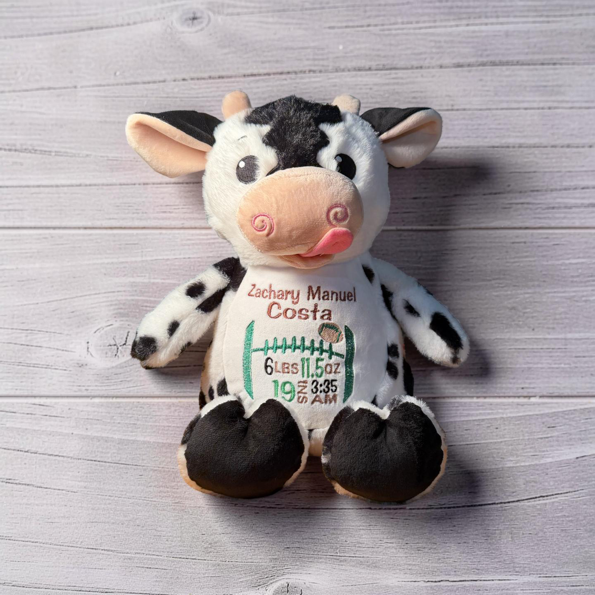 Dairy Cow